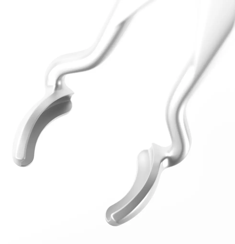 1_3.webp
